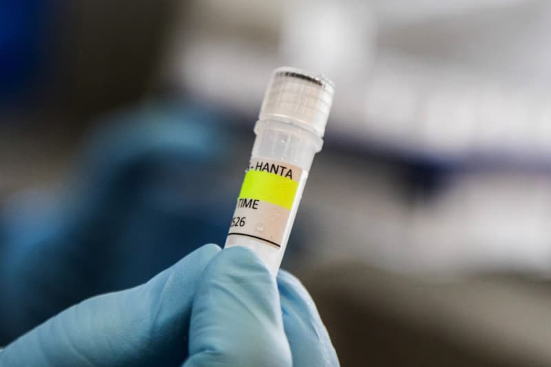 OMS señala que primer contagio de hantavirus en crucero ocurrió antes del viaje