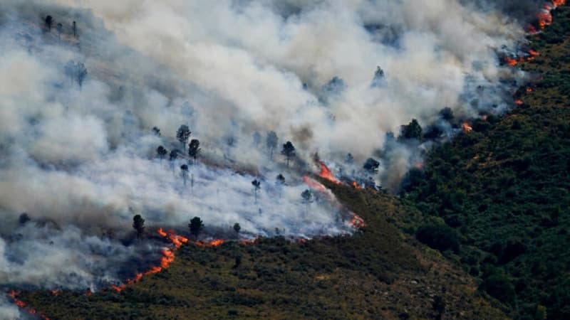 Más de 180 mil personas afectadas por los devastadores incendios forestales en España